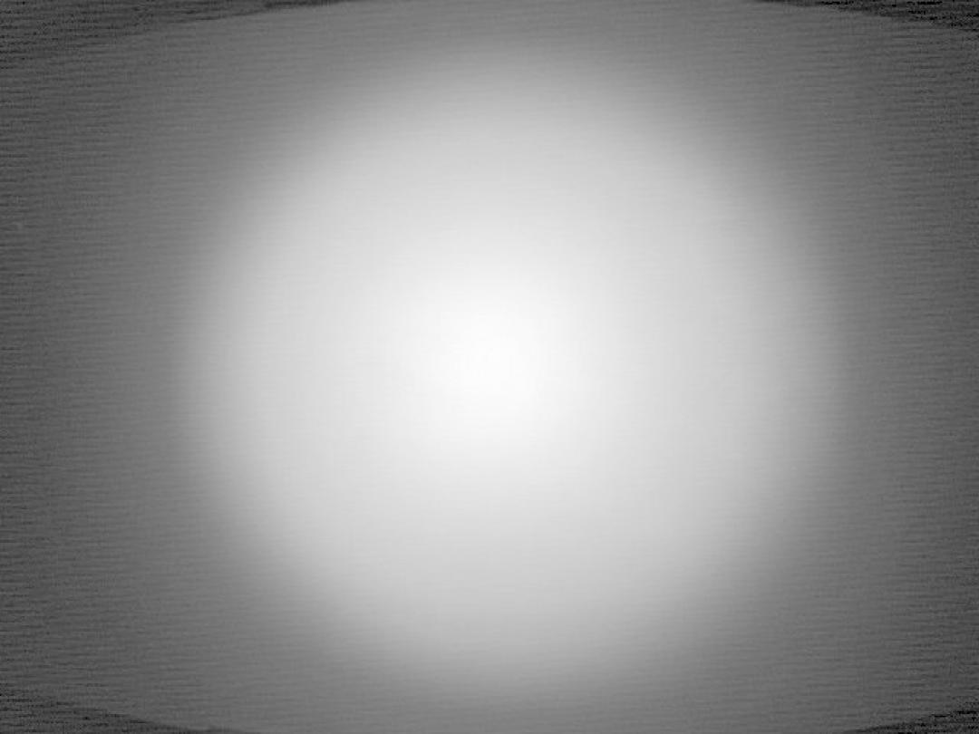 12532 Led Cree XLamp XM-L White Spot Image