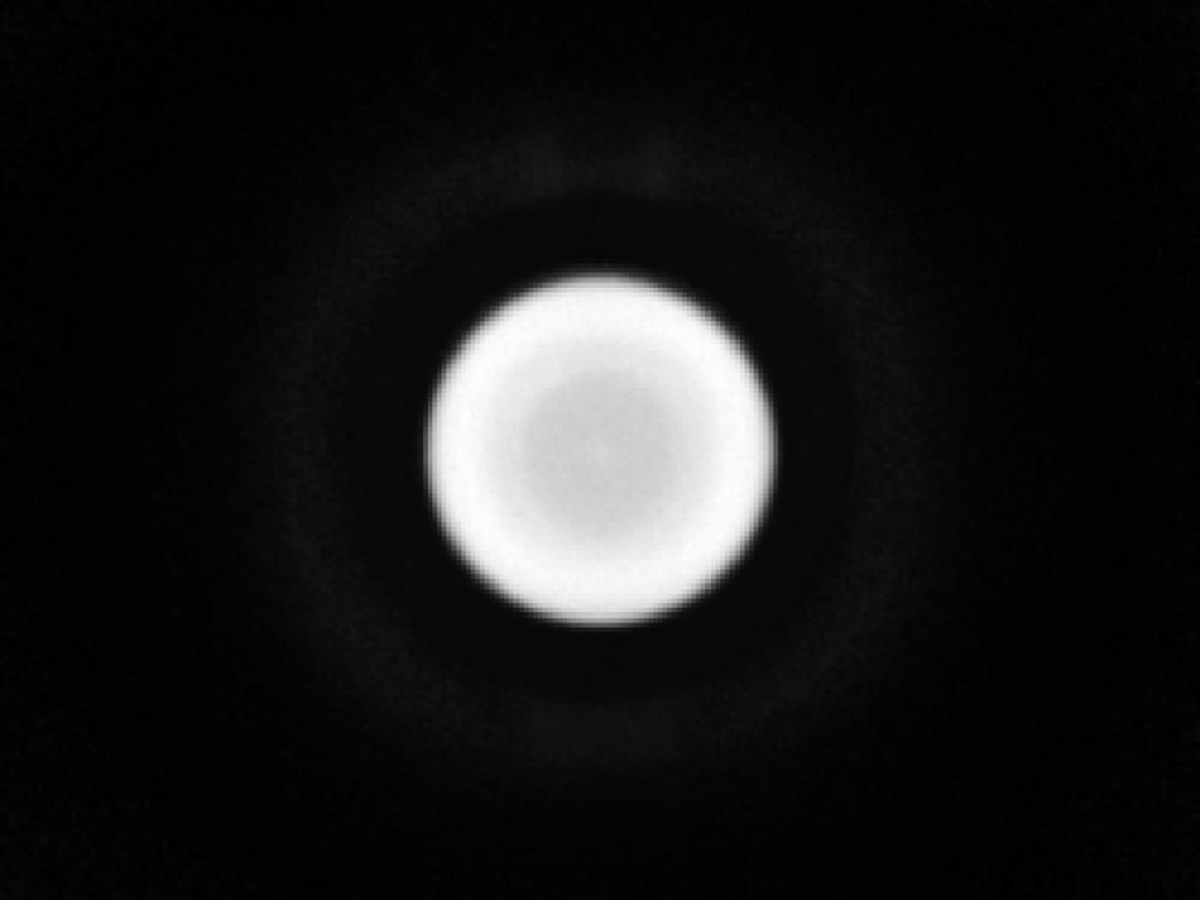 optic-10627-Cree-XEG-WarmWhite-spot-image.jpg