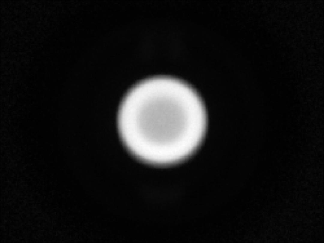 optic-10627-Cree_JK2835-6V-spot-image.jpg