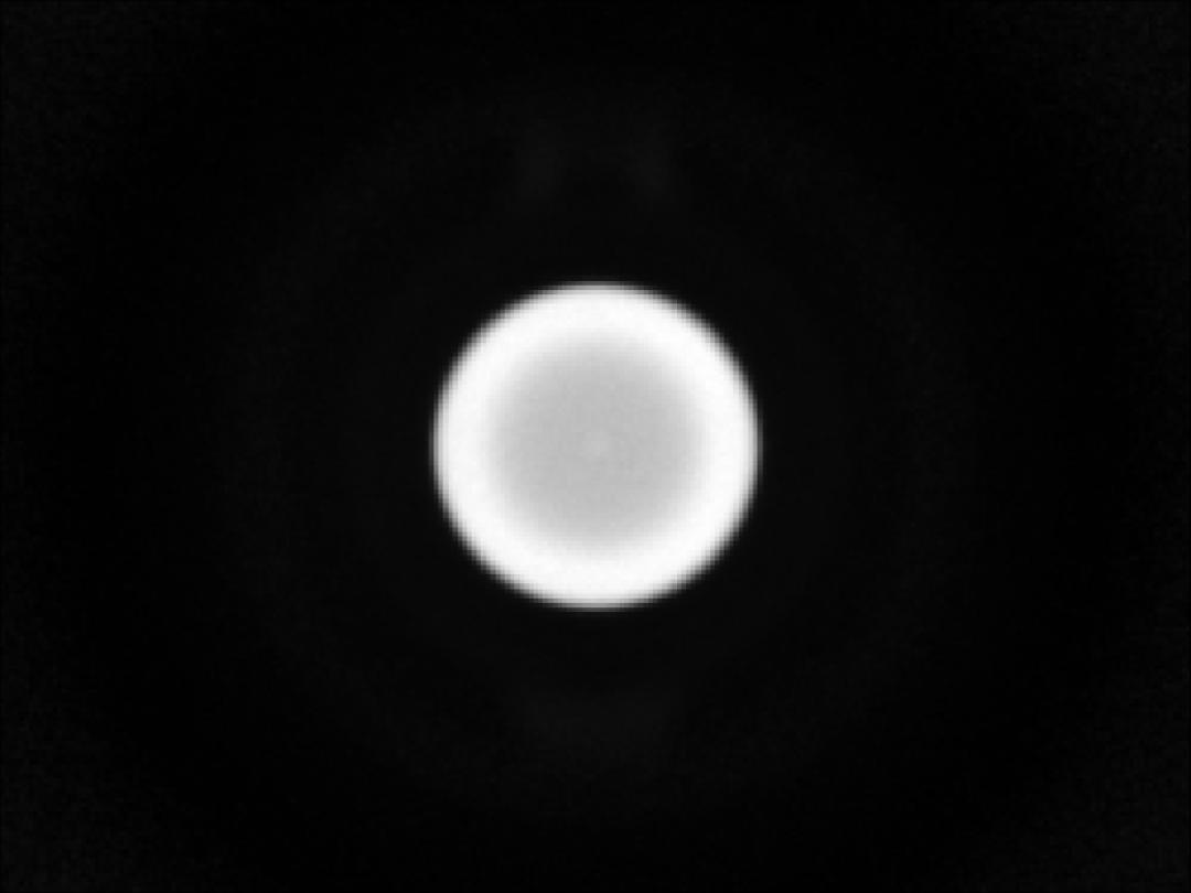 optic-10627-Cree_XD16-PW-spot-image.jpg