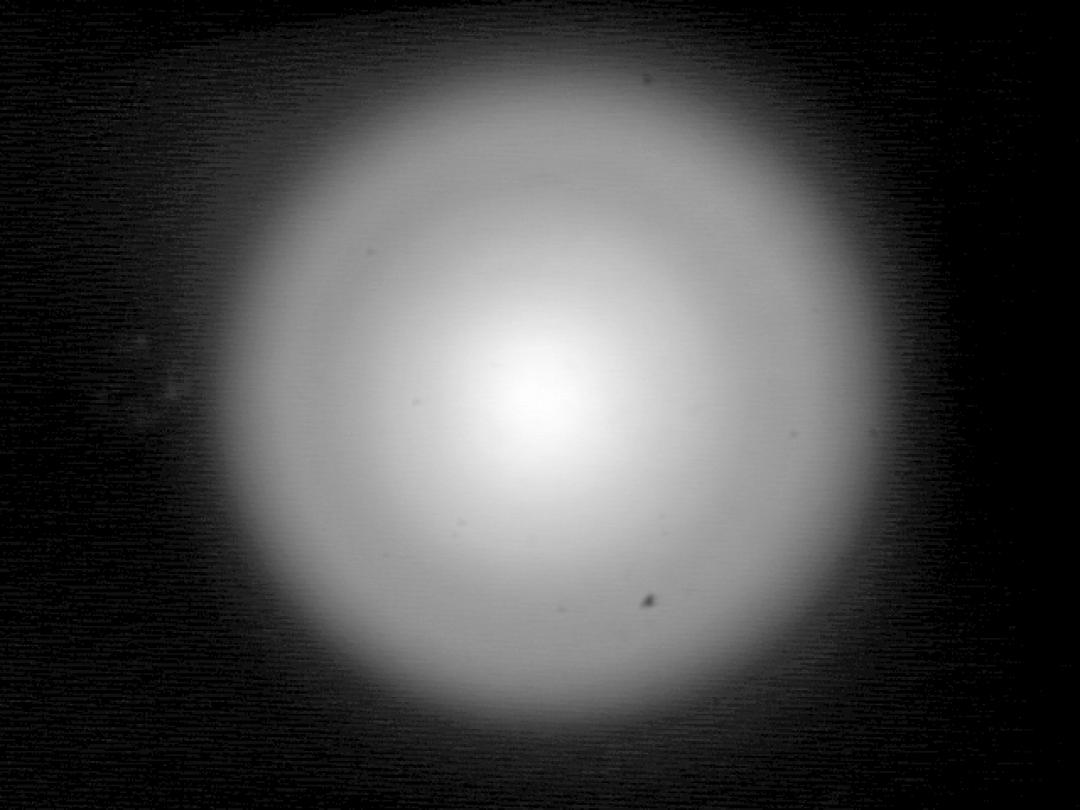 12685_Wide_Newton_Refl_Lumileds_1203_COB_White