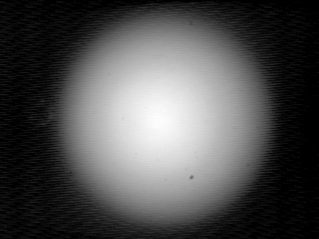 12685_Wide_Newton_Refl_Lumileds_1208_White_Slice