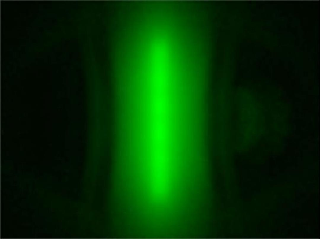 Carclo Optics - Simulated Spot Image