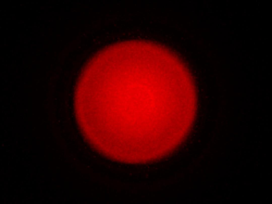 Carclo Optics – 10403 Cree Xlamp XP-E2 Far Red - Spot Image 
