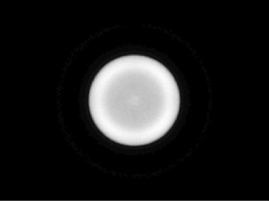 Carclo Optics -10403 Spot Image - Seoul Z8Y11