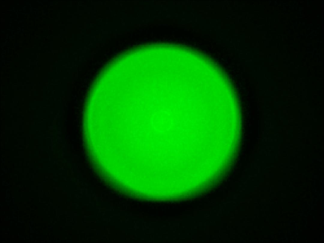 Carclo Optics - 10406 Luminus_SST-10_G_B130 - spot - image