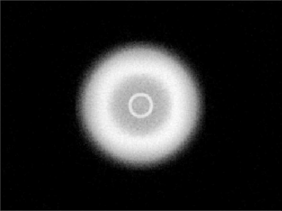 Carclo Optics - Simulated Spot Image