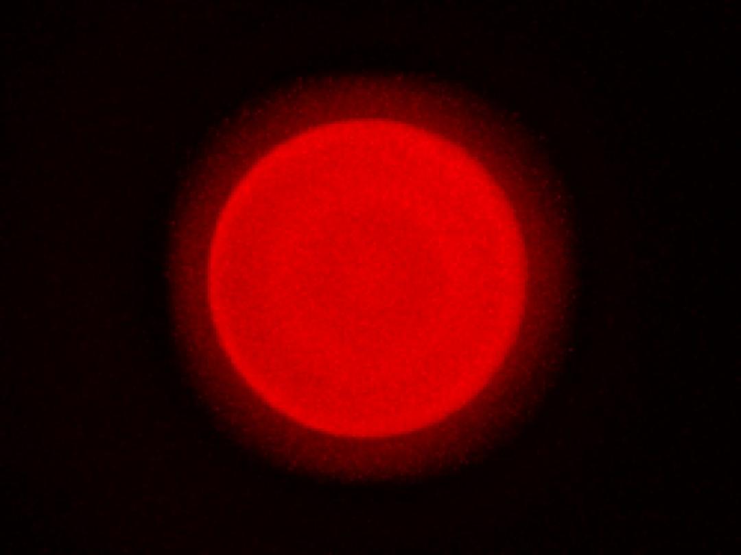 Carclo Optics – 10406 SSC (Seoul)_MidPower_3030_STFRC12B Far Red - Spot – image