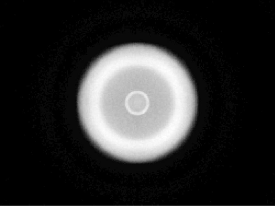 Carclo Optics -10406 Spot Image - Seoul Z8Y11
