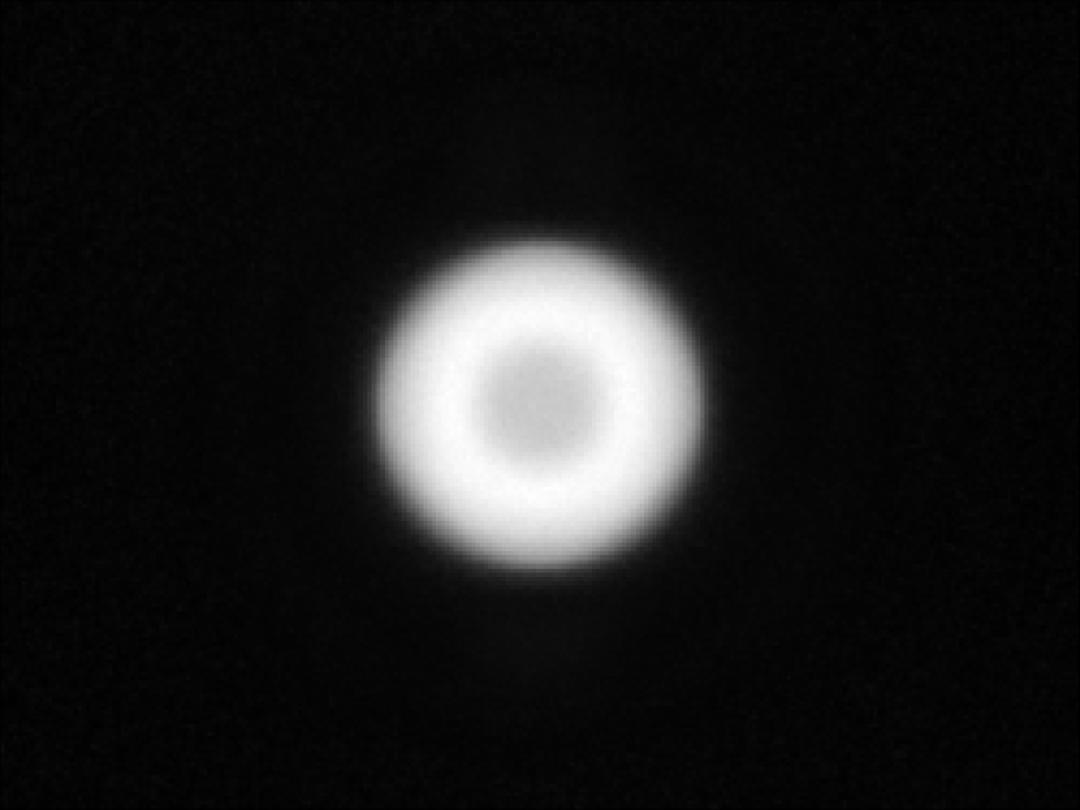 optic-10627-Cree_XHP50.3 HI-spot-image.jpg