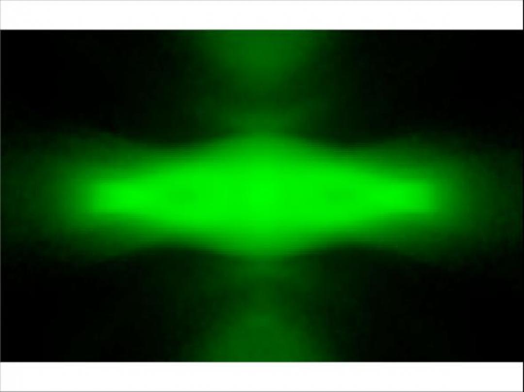 Carclo Optics - Simulated Spot Image