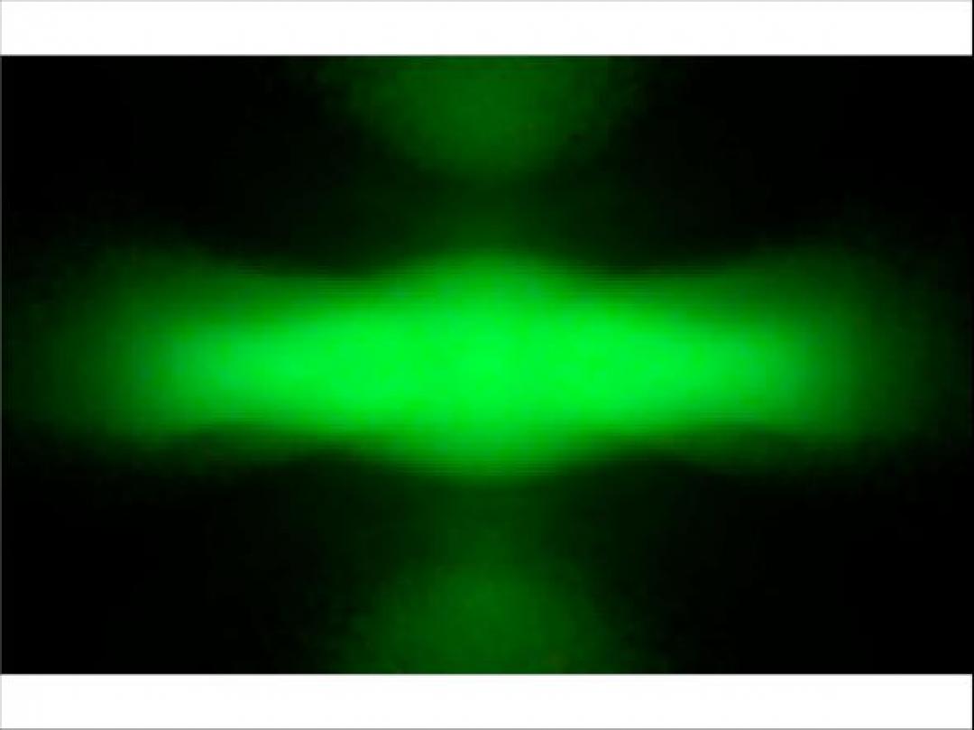 Carclo Optics - Simulated Spot Image