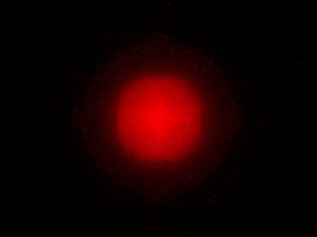 Carclo Optics – 12815 Osram Oslon SSL-120 GF CSSPM1.24 Far Red - Spot Image 