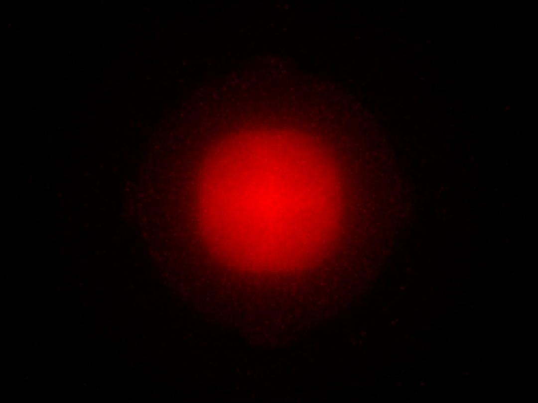 Carclo Optics – 12816 Osram Oslon SSL-120 GF CSSPM1.24 Far Red - Spot Image 