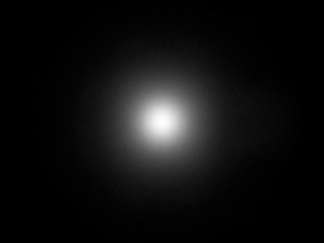 optic-10138-Nichia-NVSW219GF-spot-image.jpg