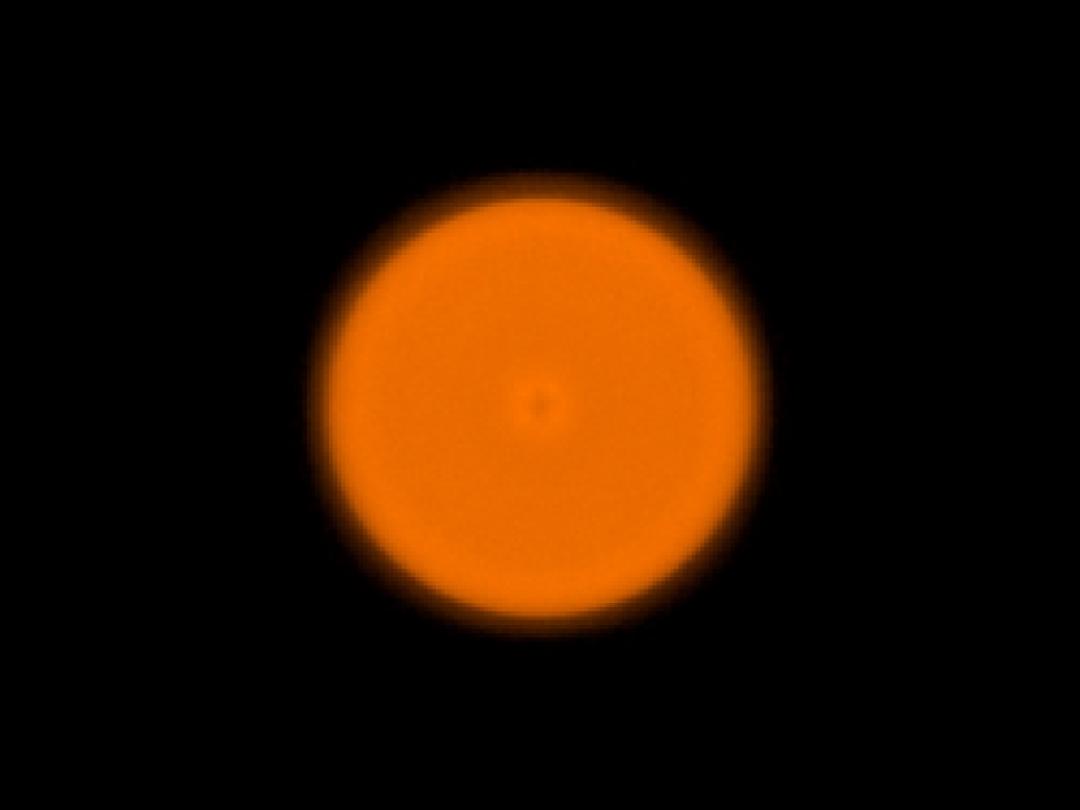 optic-10170-Cree-XP-E2-Amber-spot-image.jpg