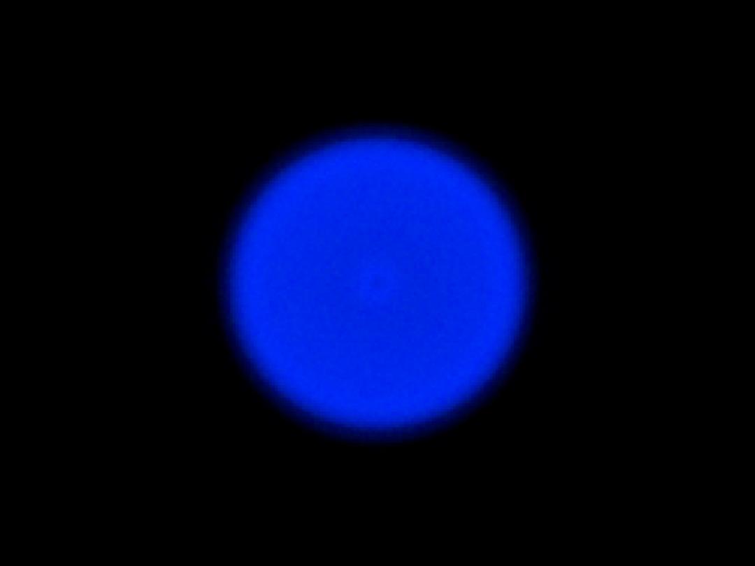 optic-10170-Cree-XP-E2-Blue-spot-image.jpg