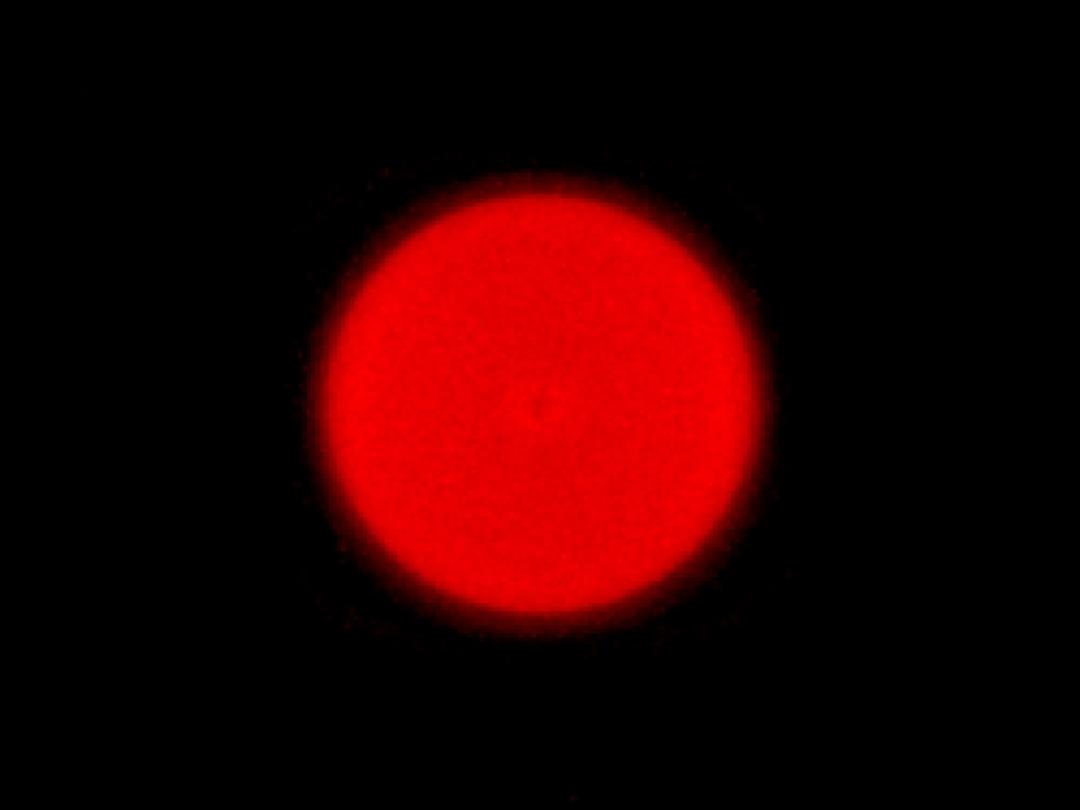 optic-10170-Cree-XP-E2-FarRed-spot-image.jpg