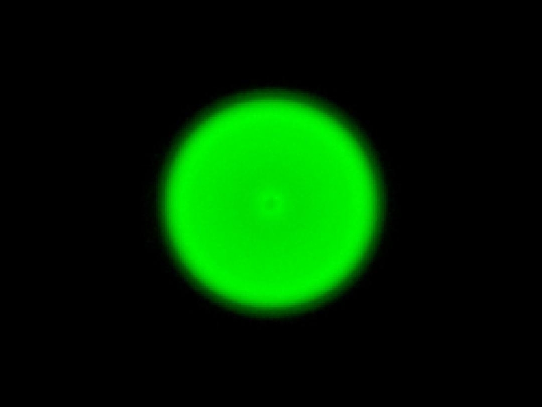 optic-10170-Cree-XP-E2-Green-spot-image.jpg