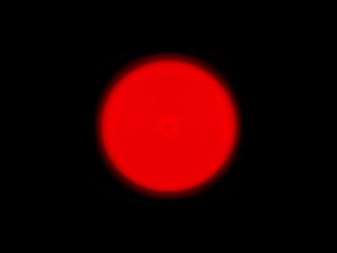 optic-10170-Cree-XP-E2-PhotoRed-spot-image.jpg