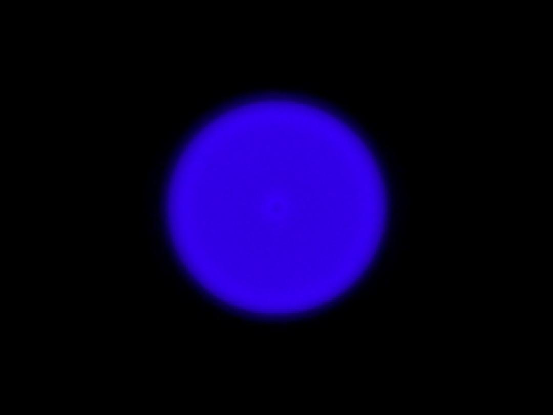 optic-10170-Cree-XP-E2-RoyalBlue-spot-image.jpg