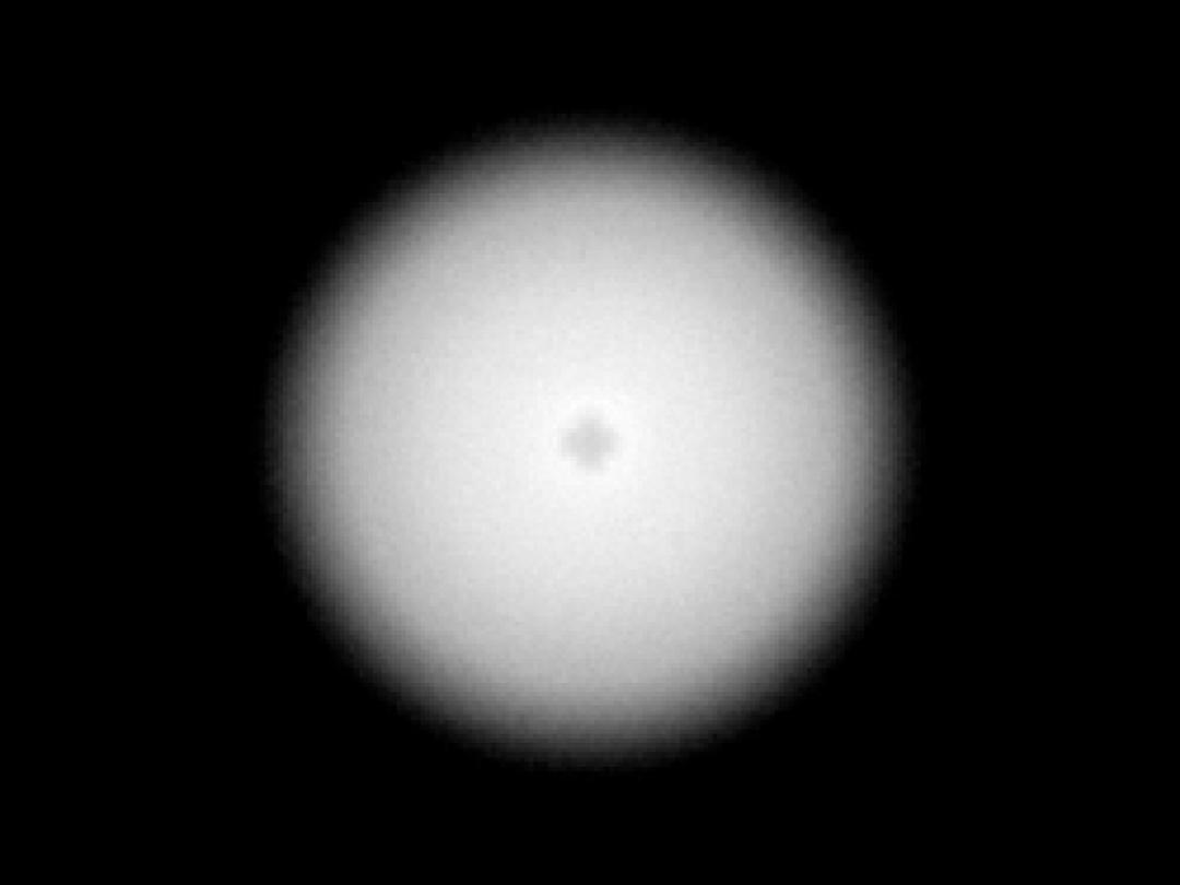 optic-10170-Nichia-NVSW219GF-spot-image.jpg