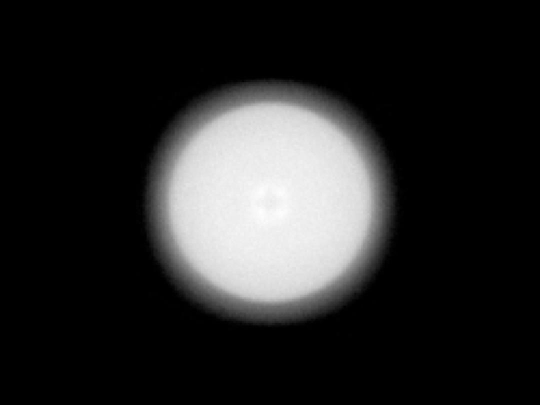 optic-10170-Nichia-NVSW219GL-spot-image.jpg