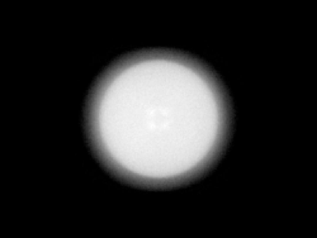 optic-10170-Nichia-NVSW519A-V1-spot-image.jpg