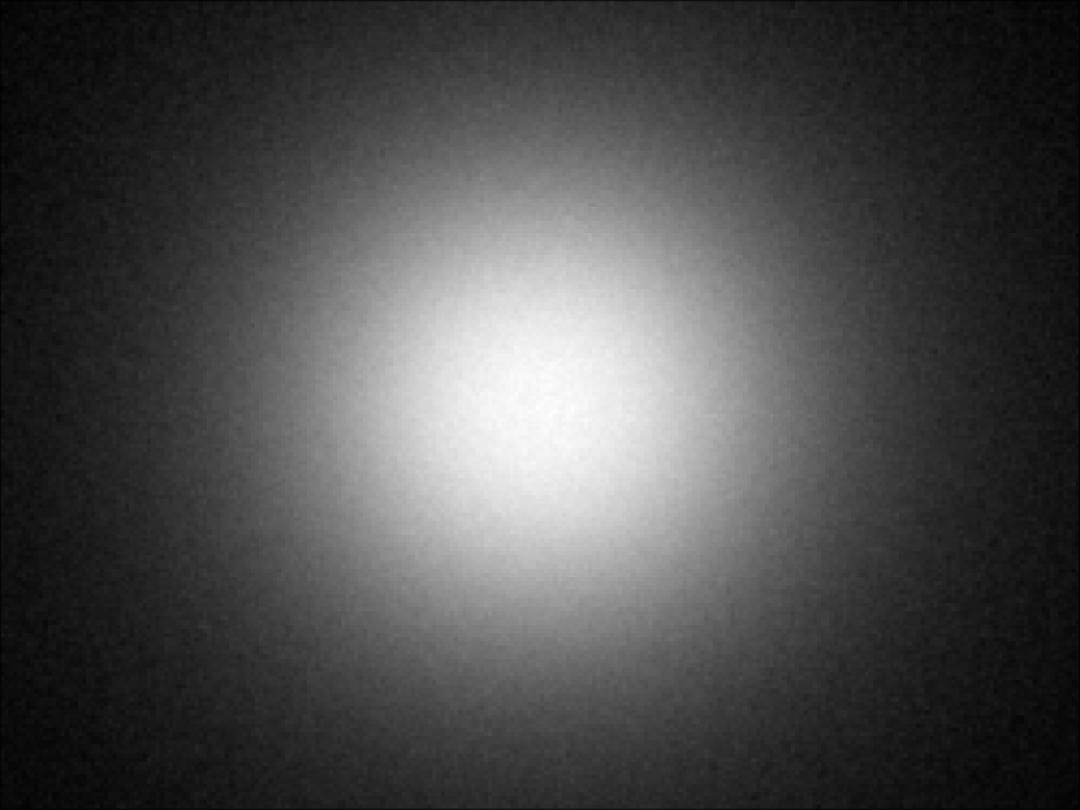optic-10196-Nichia-NVSW219GF-spot-image.jpg