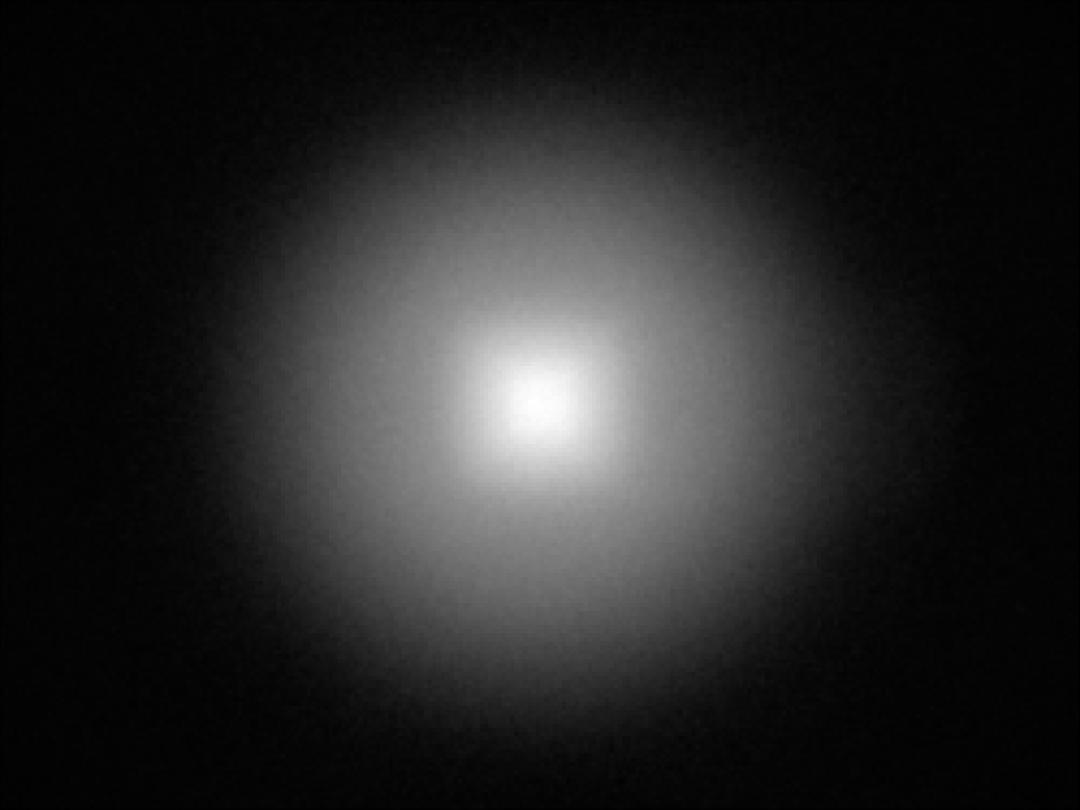 optic-10208-Nichia-NVSW219GF-spot-image.jpg