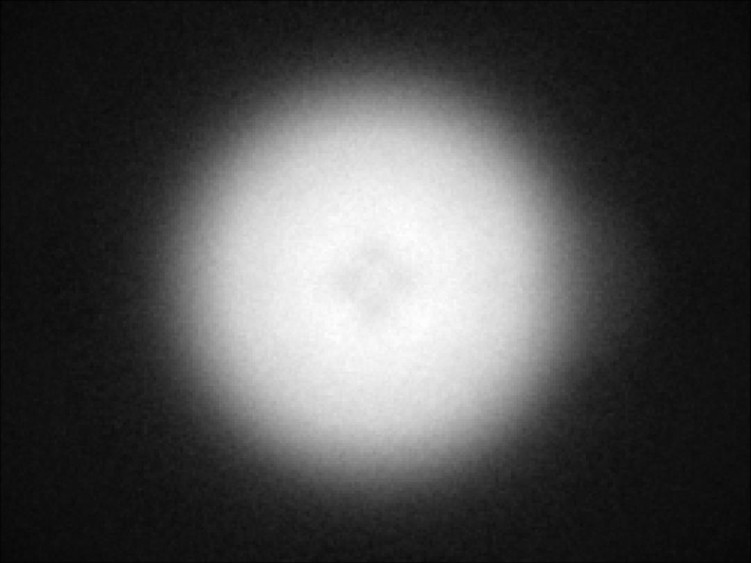 optic-10209-Cree-XEG-WarmWhite-spot-image.jpg