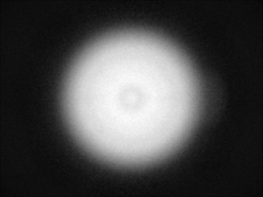 optic-10209-Cree_XP-GR-spot-image.jpg
