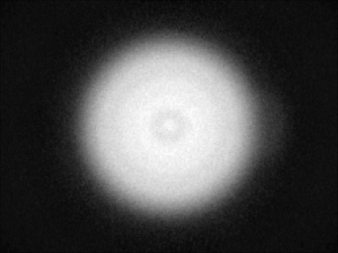 optic-10209-Luminus_SFT-12R-WES-F-spot-image.jpg