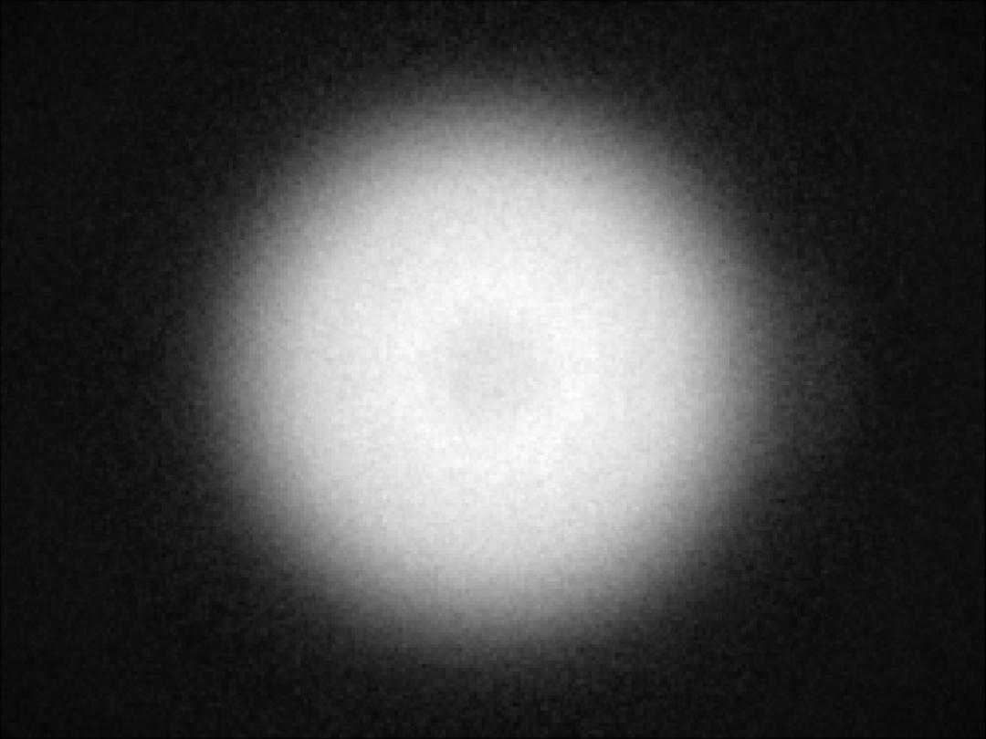optic-10209-Luminus_SFT-25R-WES-F-spot-image.jpg