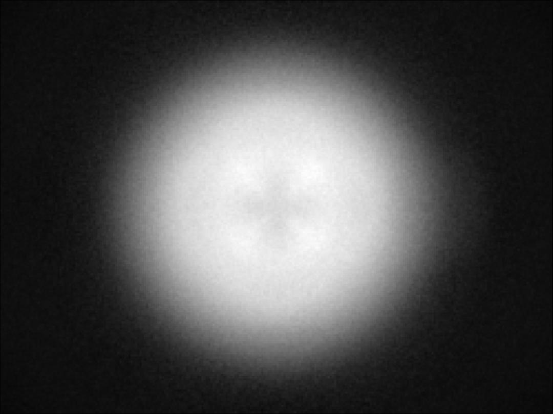 optic-10209-Nichia-NVSW219GF-spot-image.jpg
