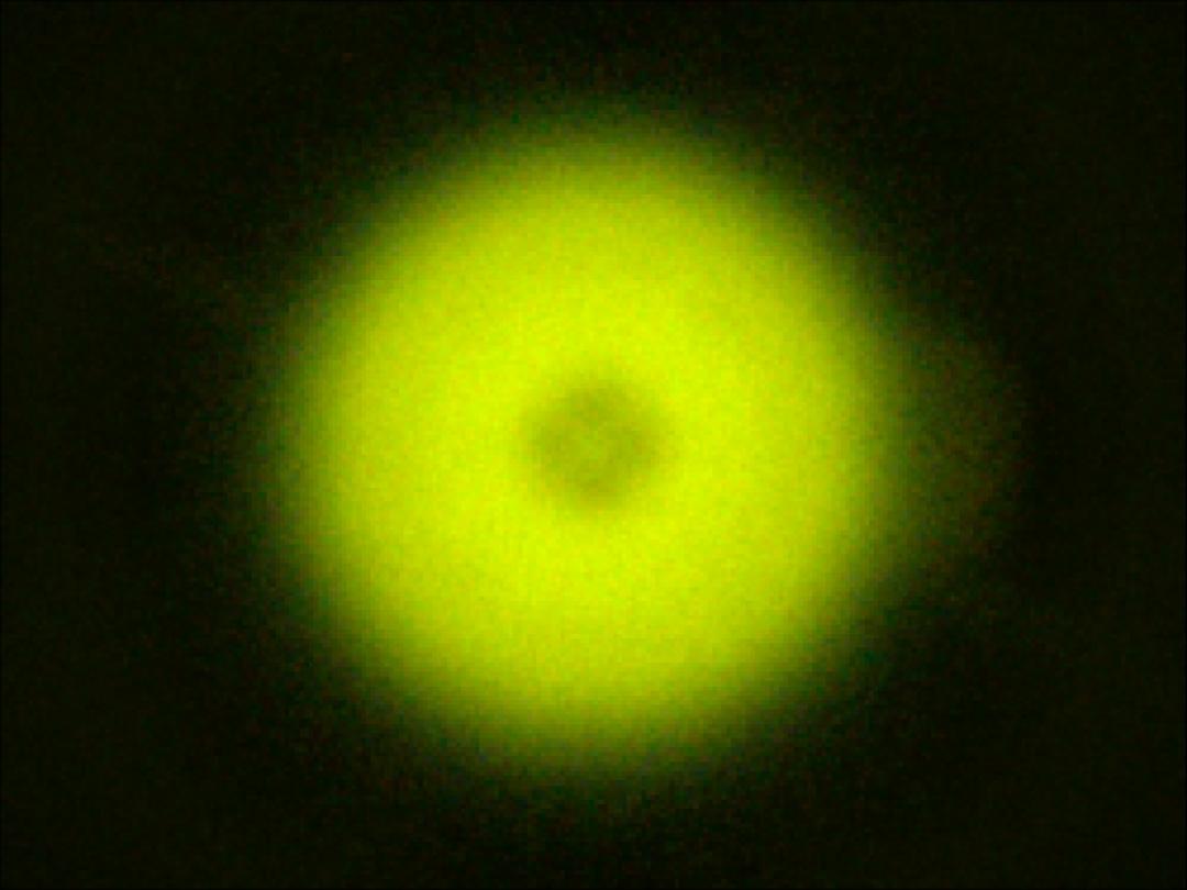 optic-10209-Oslon_Pure_1010_PC_Green-spot-image.jpg