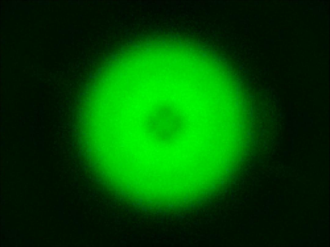 optic-10209-Oslon_Pure_1010_True_Green-spot-image.jpg