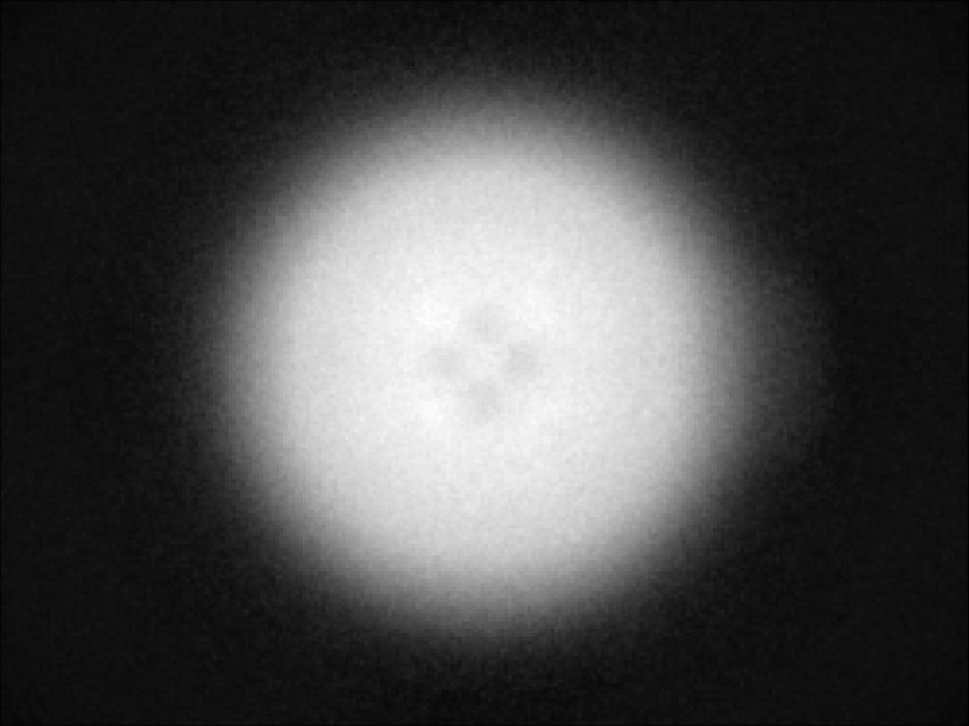 optic-10209-Oslon_Pure_1414-spot-image.jpg