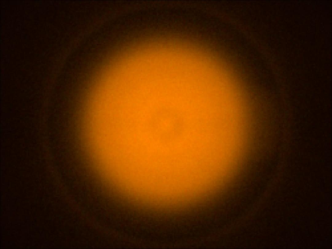 optic-10211-Cree-XQ-A-PCAmber-spot-image.jpg