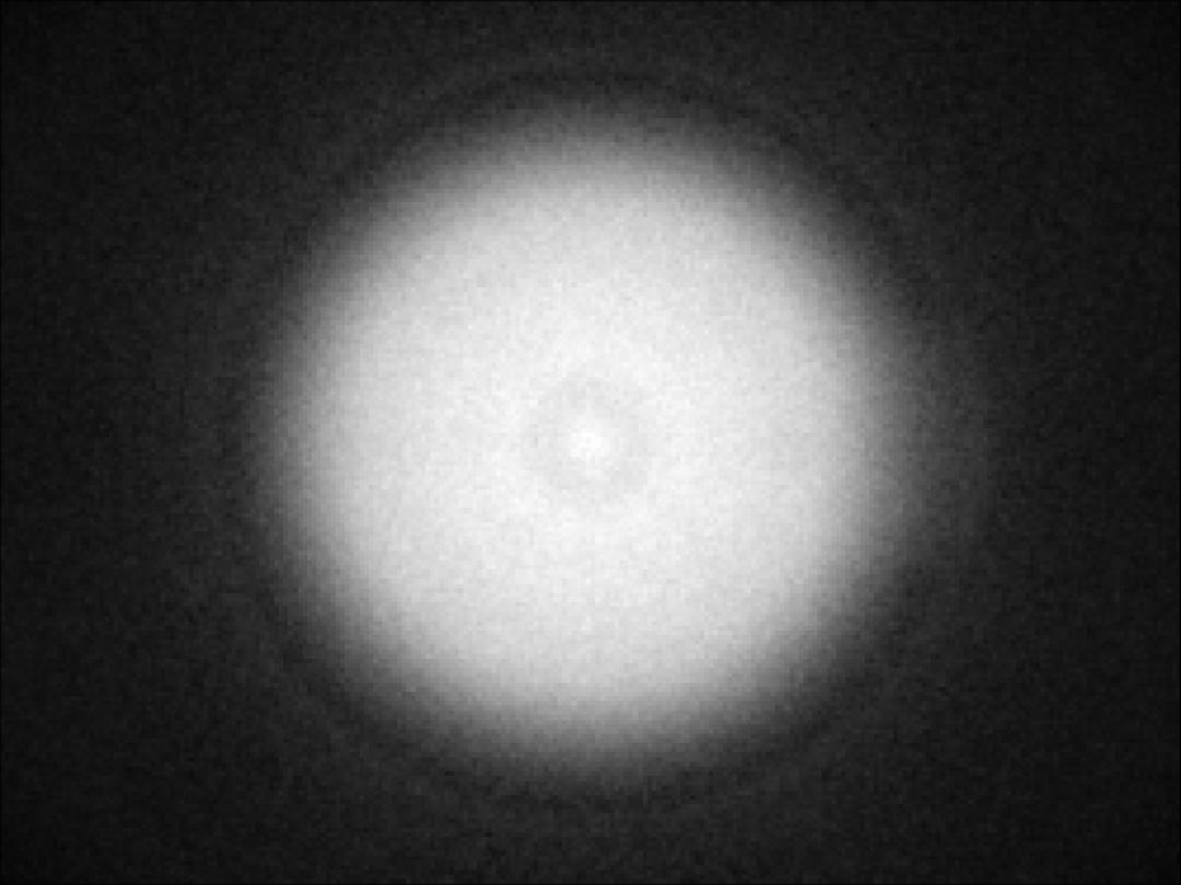 optic-10211-Luminus_SFT-12R-WES-F-spot-image.jpg