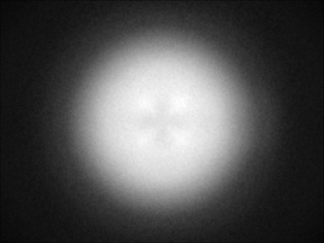 optic-10211-Nichia-NVSW219GF-spot-image.jpg