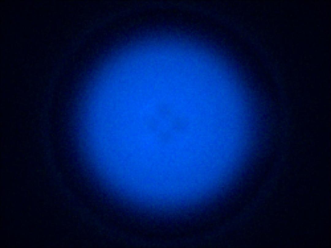 optic-10211-Oslon_Pure_1414_Blue-spot-image.jpg