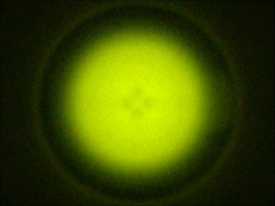 optic-10211-Oslon_Pure_1414_Green-spot-image.jpg