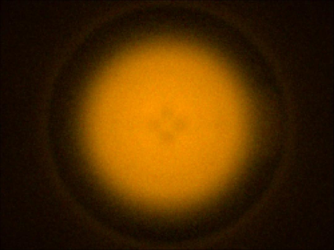 optic-10211-Oslon_Pure_1414_Yellow-spot-image.jpg