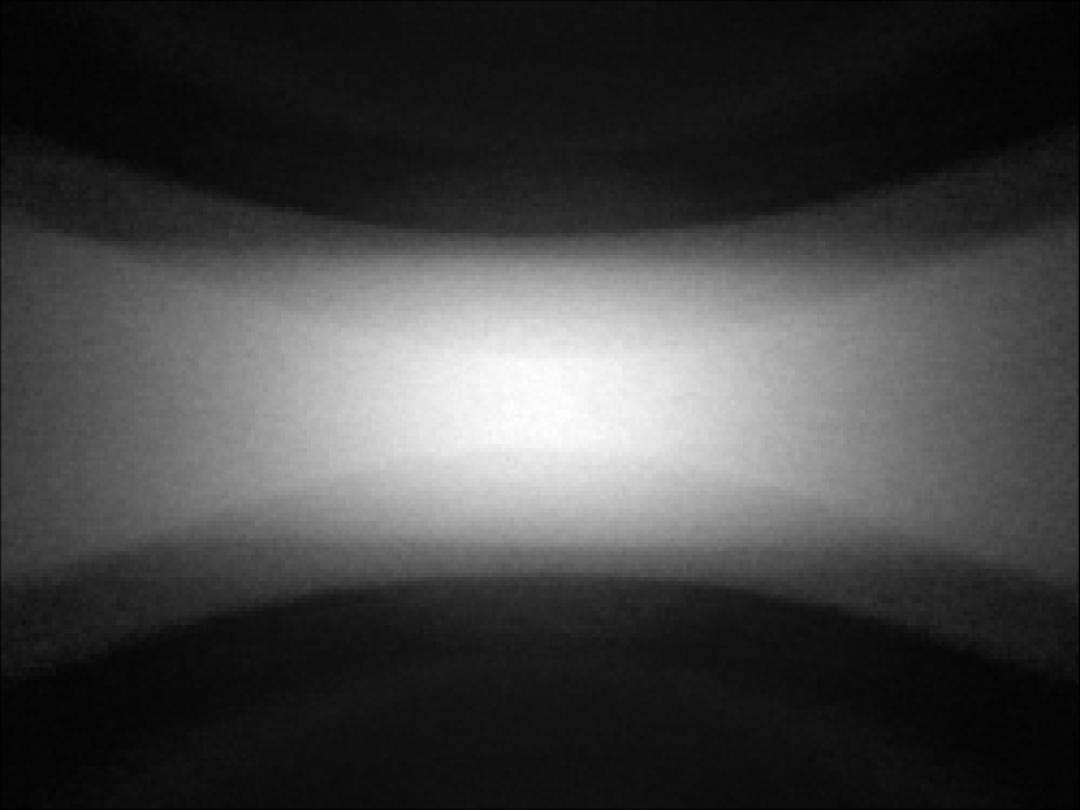 optic-10398-Nichia-NVSW219GF-spot-image.jpg