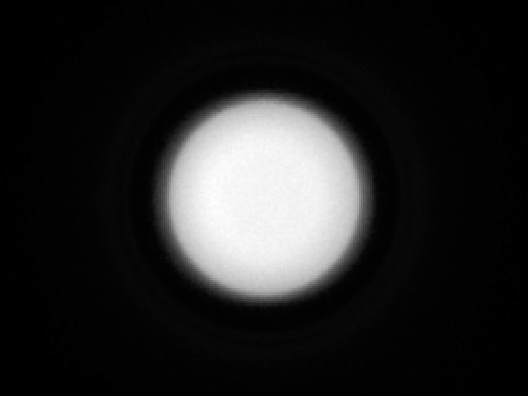 optic-10403-Cree-JB2835B-GPro9-spot-image.jpg