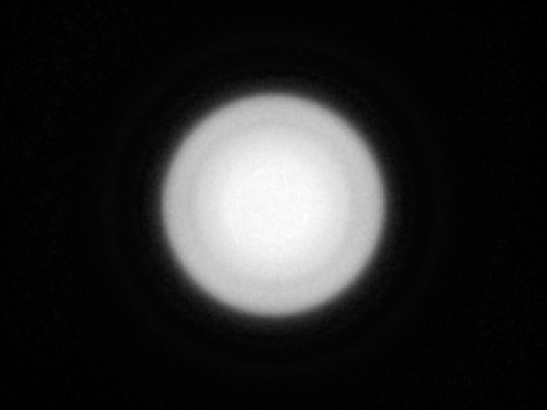 optic-10403-Cree-XP-G4-HI-spot-image.jpg