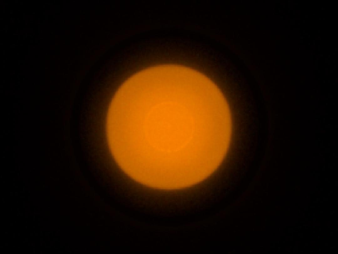 optic-10403-Cree-XQ-A-PCAmber-spot-image.jpg