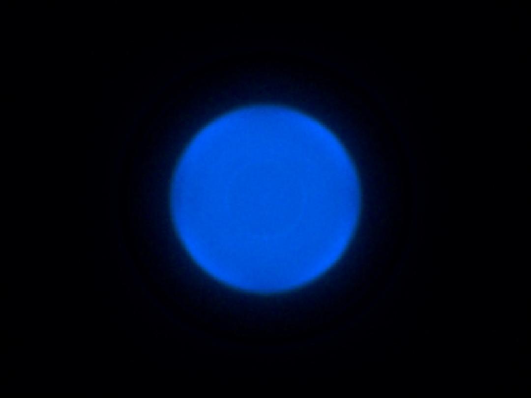optic-10403-Cree-XQ-A-PCBlue-spot-image.jpg