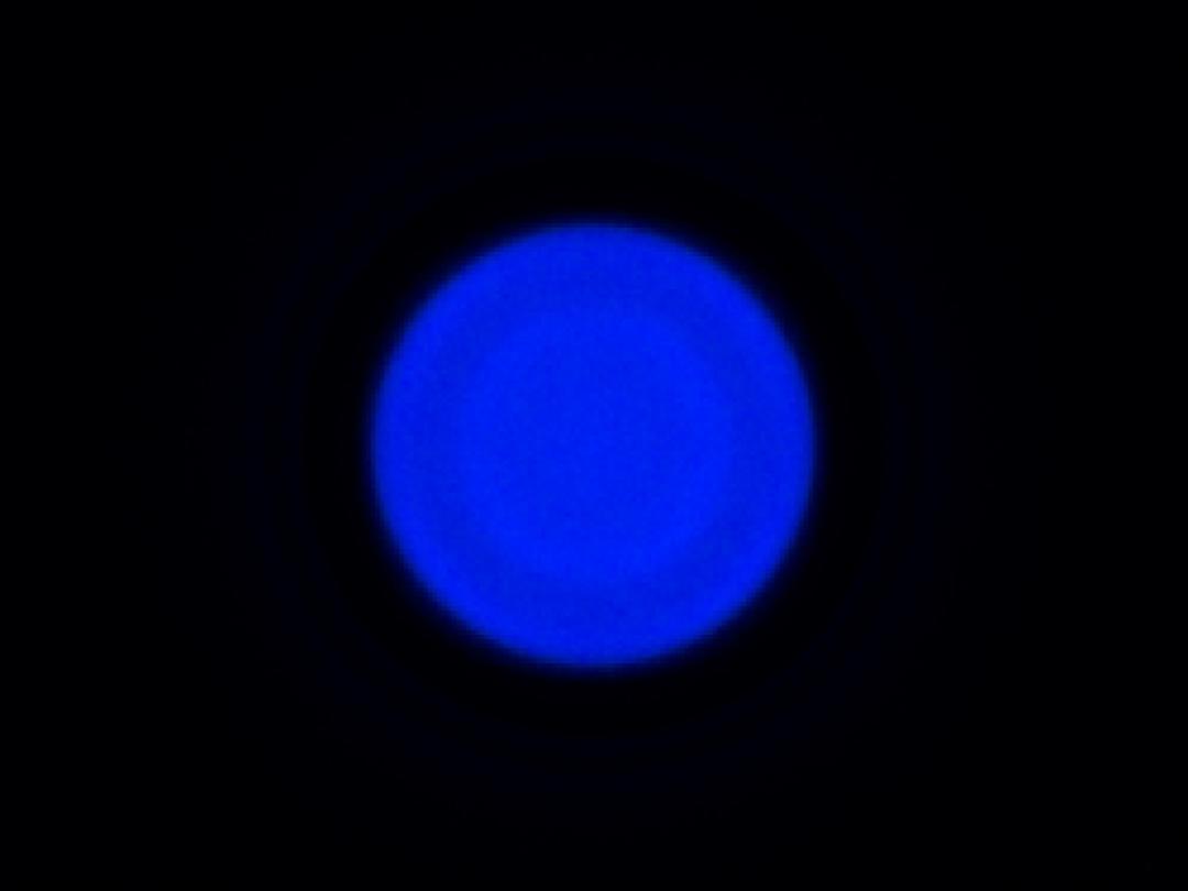 optic-10403-Cree-XQ-E-Plus-HI-Blue-spot-image.jpg